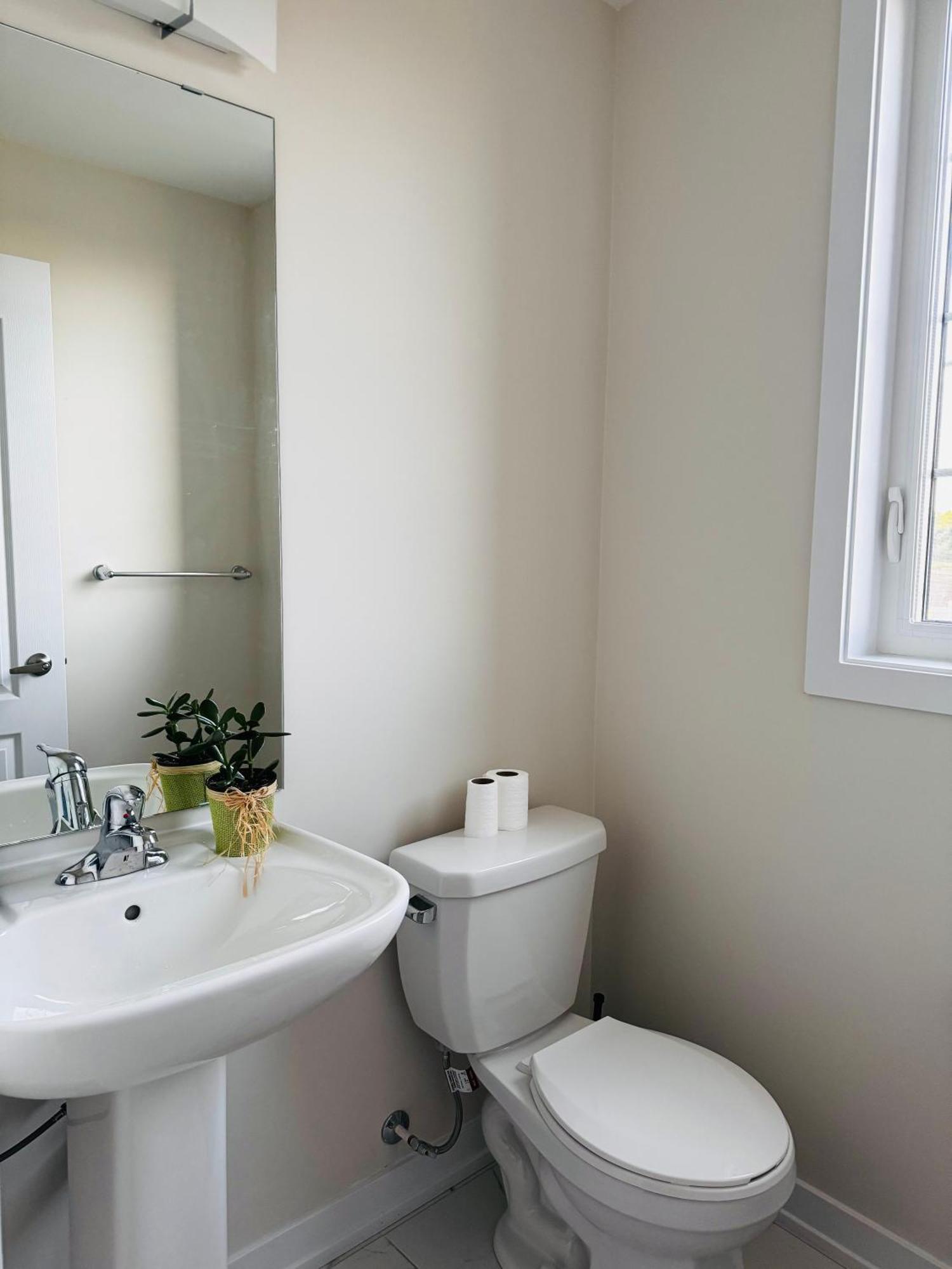 Have Whole House To Yourself Thorold Екстериор снимка